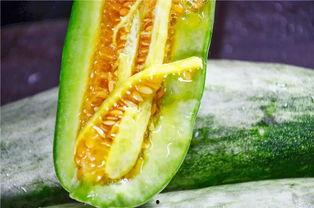 ooooo推特网红吃瓜,从吃瓜到爆红，看看他们如何玩转社交媒体！